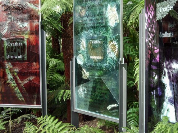 Douglas Hogg, detail of ‘Photosynthesis’ (2008), National Fern Collection, Glasgow Botanic Gardens, Glasgow. Douglas Hogg, detail of ‘Photosynthesis’ (2008), National Fern Collection, Glasgow Botanic Gardens, Glasgow. | Photo: Douglas Hogg
